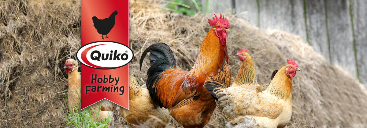 Quiko Hobby Farming
