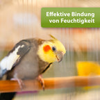 Bunter Wellensittich mit Text Effektive Bindung von Feuchtigkeit