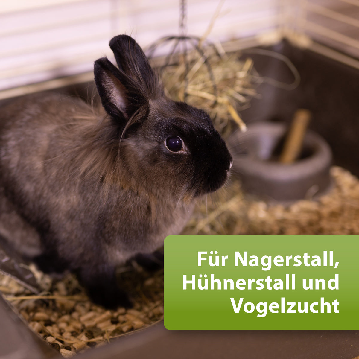 Braunes Kaninchen mit Text für Nagerstall, Hühnerstall und Vogelzucht